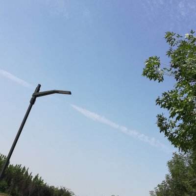 美女总裁爱上我手游下载